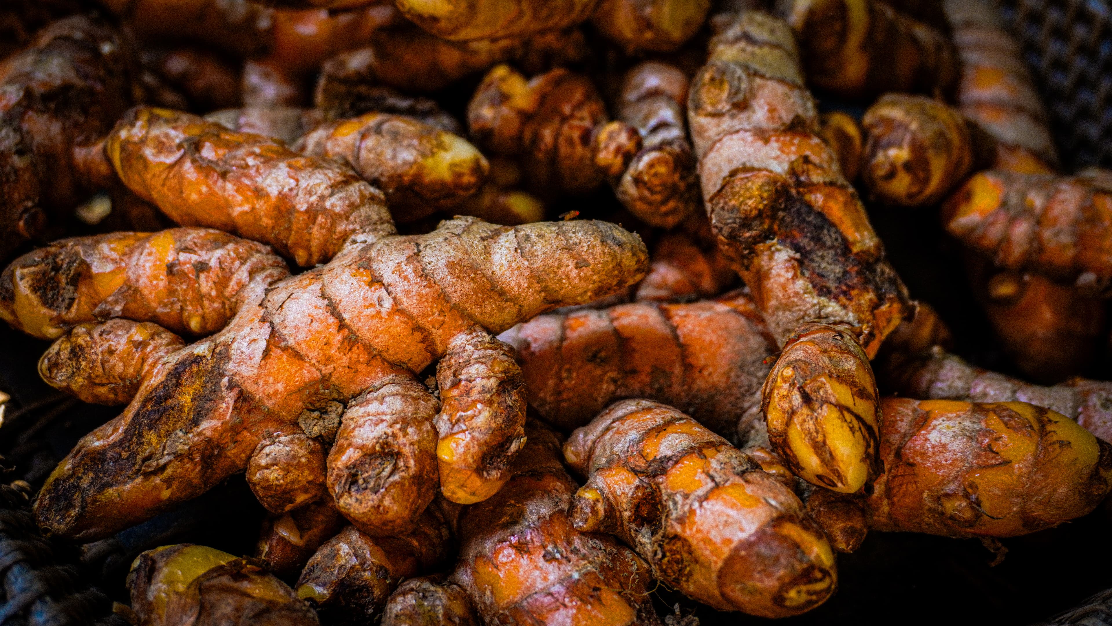 Turmeric Root